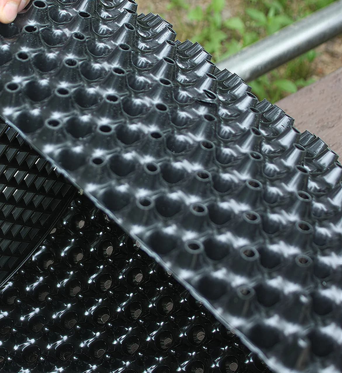 エアープルーニングされた根の断面 — 無数の細根が密に分岐している様子